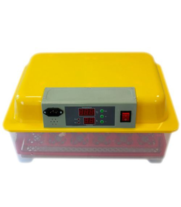 Инкубатор автоматический WQ-24