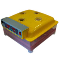 Инкубатор автоматический WQ-36