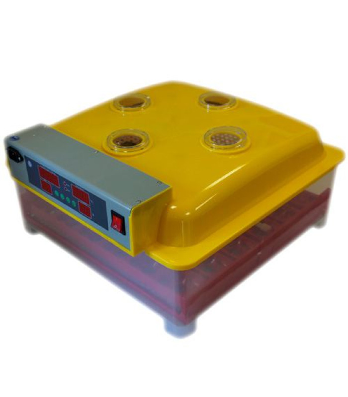 Инкубатор автоматический WQ-36