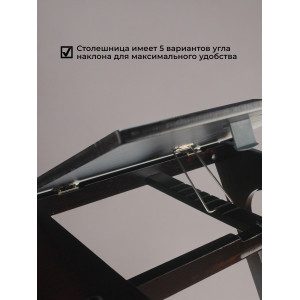 Столик для ноутбука ZC1