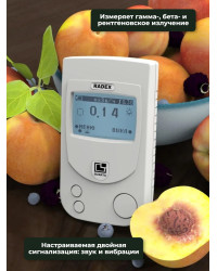 Дозиметр RADEX RD1503+