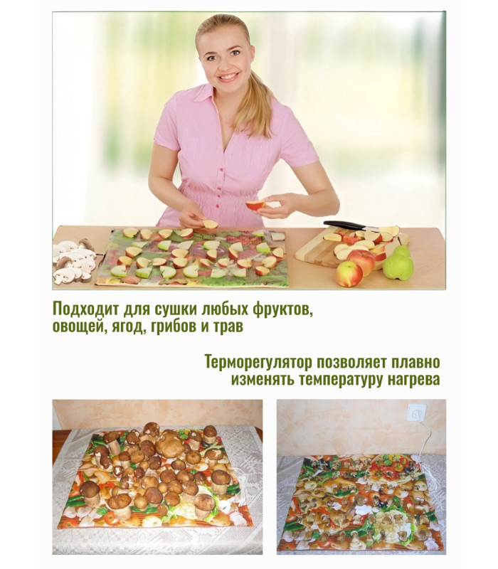 Сушилка для фруктов и овощей "Самобранка" 50*50 см (с терморегулятором)