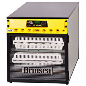 Инкубатор Brinsea Ova-Easy Advance EX ser II 100 автоматический с помпой
