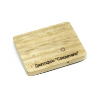 Диктофон цифровой "Свидетель" Диктофон цифровой "Свидетель"