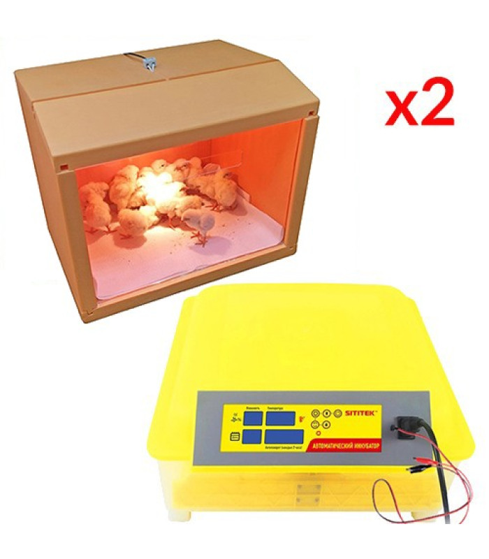 Комплект инкубатор “SITITEK 48” + 2 брудера “SITITEK HD 35W”