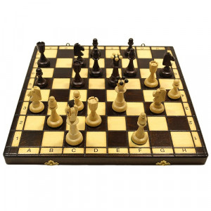 Шахматы аси (115)