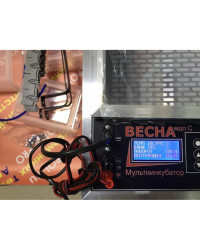 Мульти инкубатор «Весна» автоматический