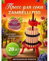 Пресс для отжима сока "Zambelli D30" домкратный, 28 л