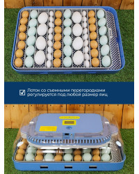 Полностью автоматический инкубатор "SITITEK 70"