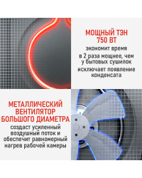 Сушилка для фруктов с WI-FI CHEF PRO CF-FD804A (6 поддонов + 6 для пастилы + 6 для ягод) 40 л, сталь