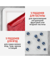 Сушилка для фруктов с WI-FI CHEF PRO CF-FD808A (5 поддонов + 5 для пастилы + 5 для ягод) 15 л, сталь