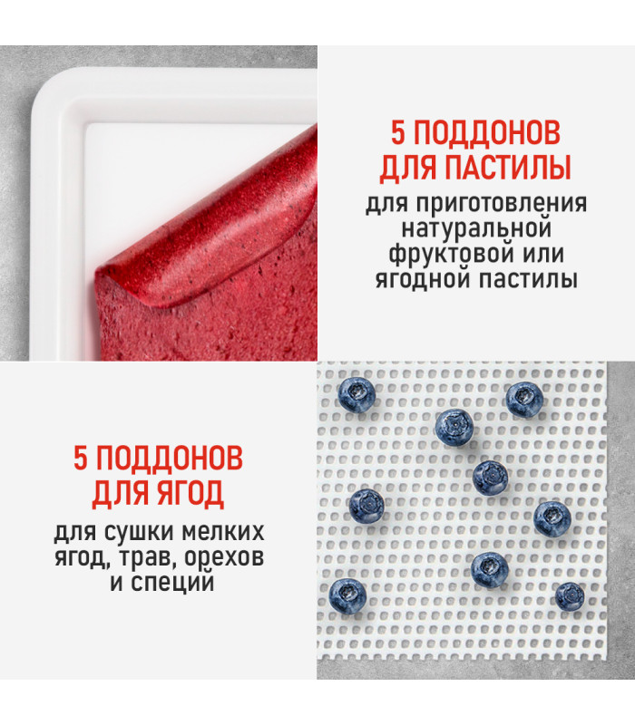 Сушилка для фруктов с WI-FI CHEF PRO CF-FD808A (5 поддонов + 5 для пастилы + 5 для ягод) 15 л, сталь