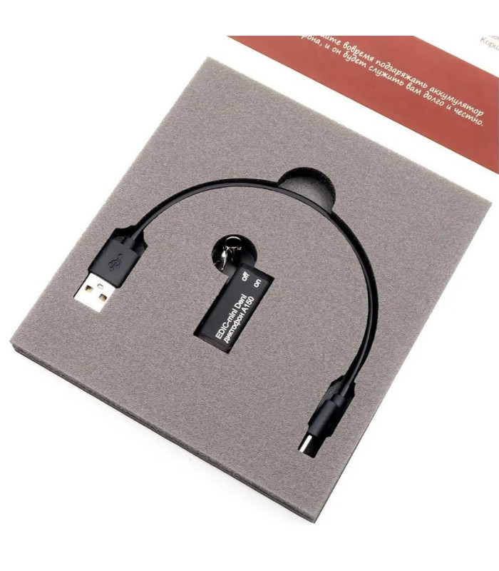 Диктофон Edic-mini Deni A150