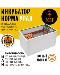 Инкубатор Норма УРАЛ (200)