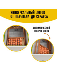 Инкубатор Норма УРАЛ (200)