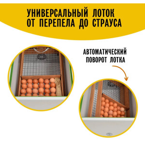Инкубатор Норма УРАЛ (200)