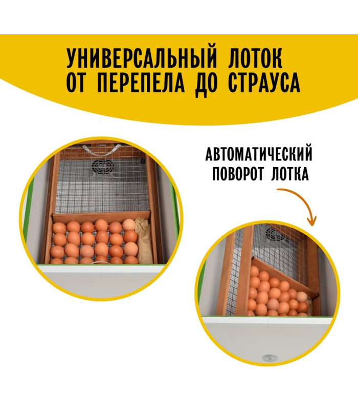 Инкубатор Норма УРАЛ (200)