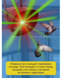 Лазерный отпугиватель птиц Коршун 700-М