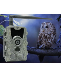 Фотоловушка Teltos 300 4G PRO Plus