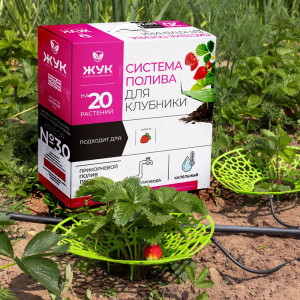 Капельный полив клубники ЖУК от водопровода (20 растений)