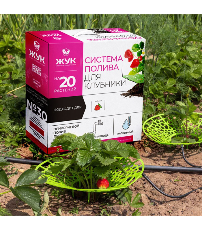Капельный полив клубники ЖУК от водопровода (20 растений)
