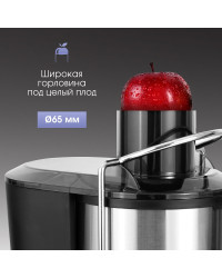 Соковыжималка Zigmund & Shtain ESJ-757