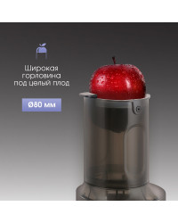 Соковыжималка Zigmund & Shtain ESJ-771 шнековая