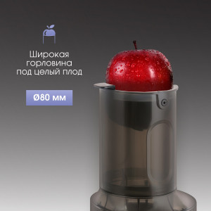 Соковыжималка Zigmund & Shtain ESJ-771 шнековая