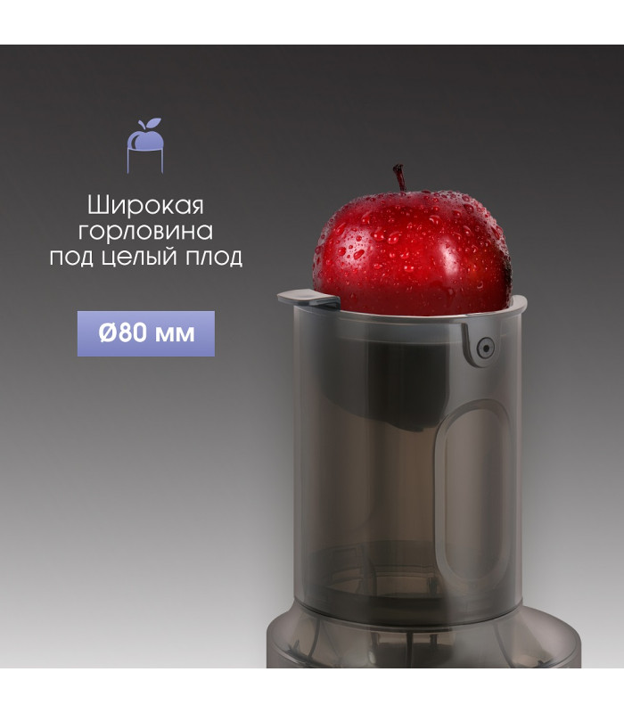 Соковыжималка Zigmund & Shtain ESJ-771 шнековая