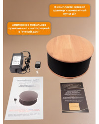 Ультразвуковой подавитель диктофонов, жучков и прослушки на 360° «UltraSonic-ШАЙБА-120 Lite (Tuya)