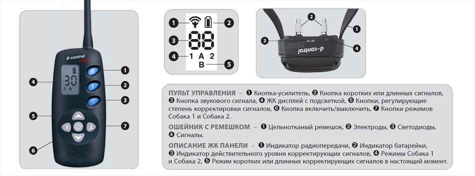 d_control_1000_4.jpg