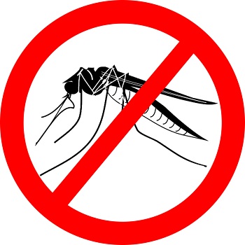 Летнее "нашествие комаров" — общая для всех проблема, с которой каждый борется по-своему