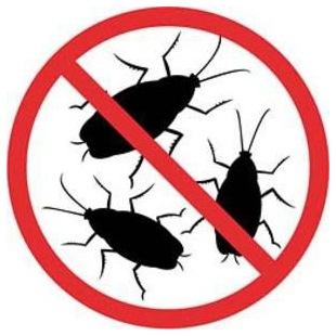 Тараканы — наиболее неприятные "жильцы" в любом доме, от которых все стремятся избавиться