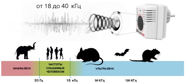 Частоты, на которых работает прибор, находятся за границами человеческого восприятия