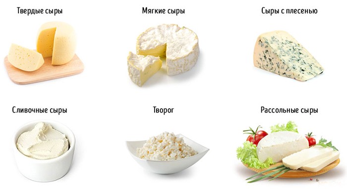 Какие сыры можно приготовить в сыроварне "Maggio Pro"