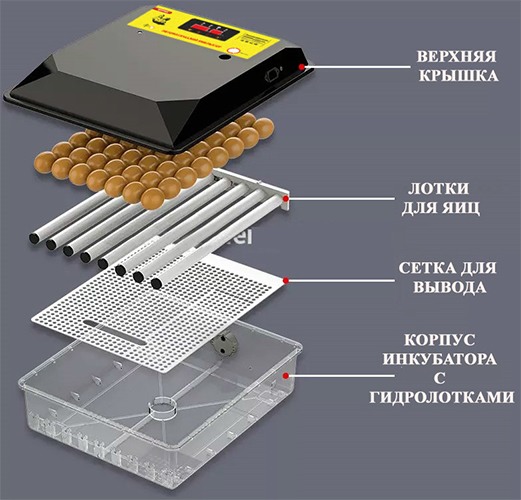 Инкубатор для яиц "SITITEK 64"