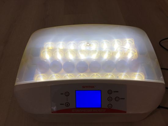 Автоматический инкубатор оснащен цифровым микроконтроллером и светодиодной подсветкой яиц