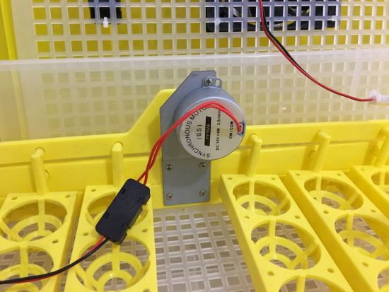 Автоматический переворот яиц осуществляется встроенным электродвигателем