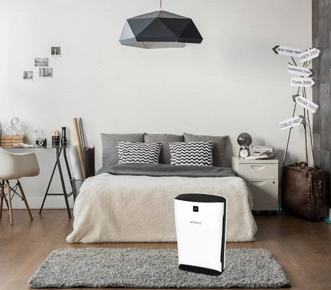 Профессиональный очиститель воздуха Бонеко (Boneco P340)