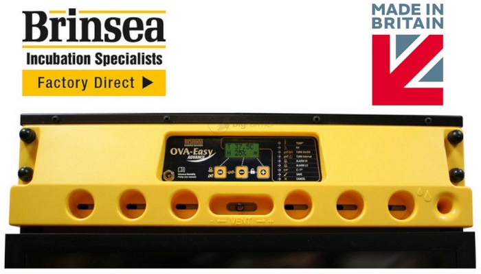 Инкубатор выводной Brinsea Ova-Easy Advance EX ser II 100