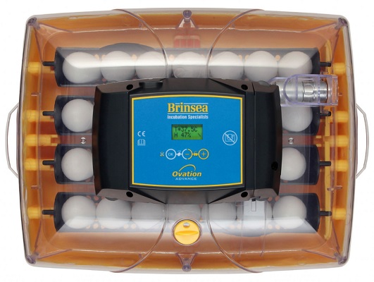 Инкубатор автоматический Brinsea Ovation Advance 28