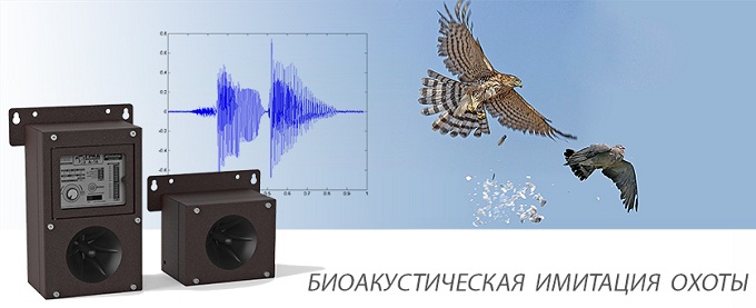 Фонограммы с криками атакующих хищников вызывают у птиц панику и желание убраться с защищаемой территории как можно дальше