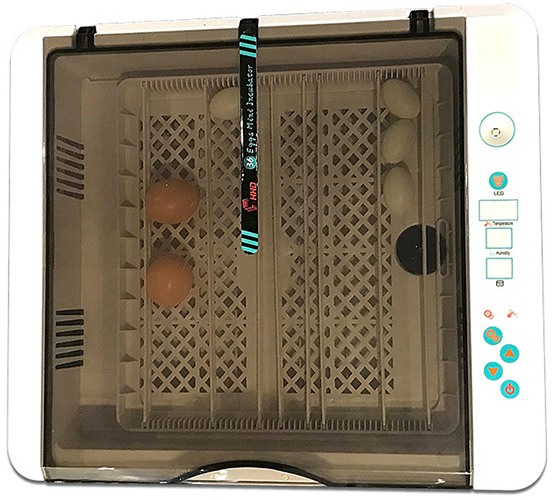 Автоматический инкубатор для яиц HHD 36