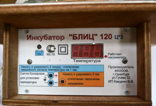 Инкубатор "БЛИЦ-120" Цифровой