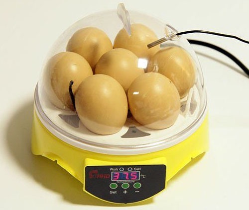 В мини-инкубатор помещается 7 куриных яиц, чего вполне достаточно для дачников-любителей и орнитологов-экспериментаторов