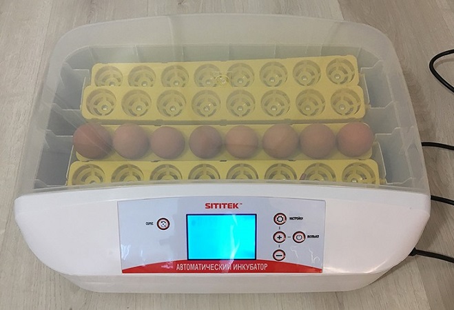 Автоматический инкубатор для яиц "SITITEK 32"