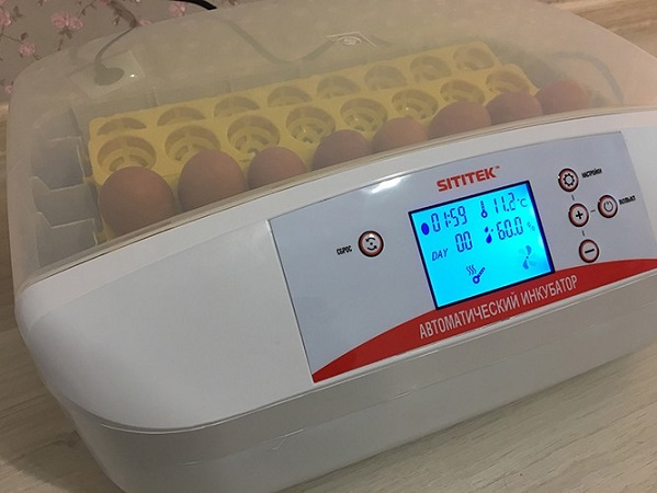 Автоматический инкубатор для яиц "SITITEK 32"
