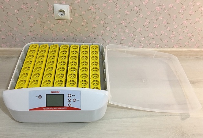 Автоматический инкубатор для яиц "SITITEK 56"