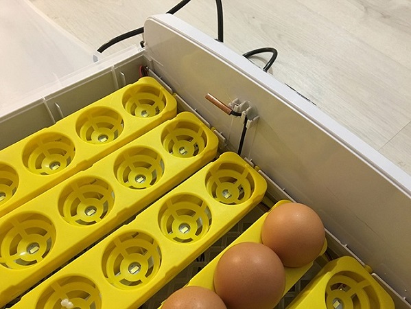 Автоматический инкубатор для яиц "SITITEK 56"
