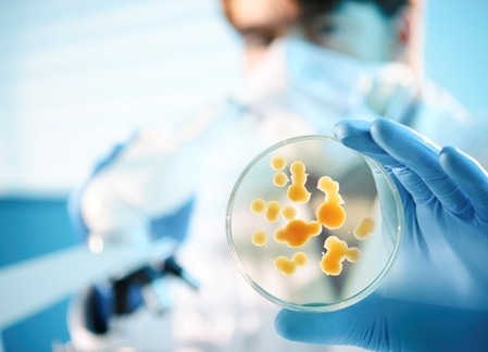 Озонатор "Longevita uv cure Eco" уничтожает вредные микроорганизмы и разрушает ДНК вирусов